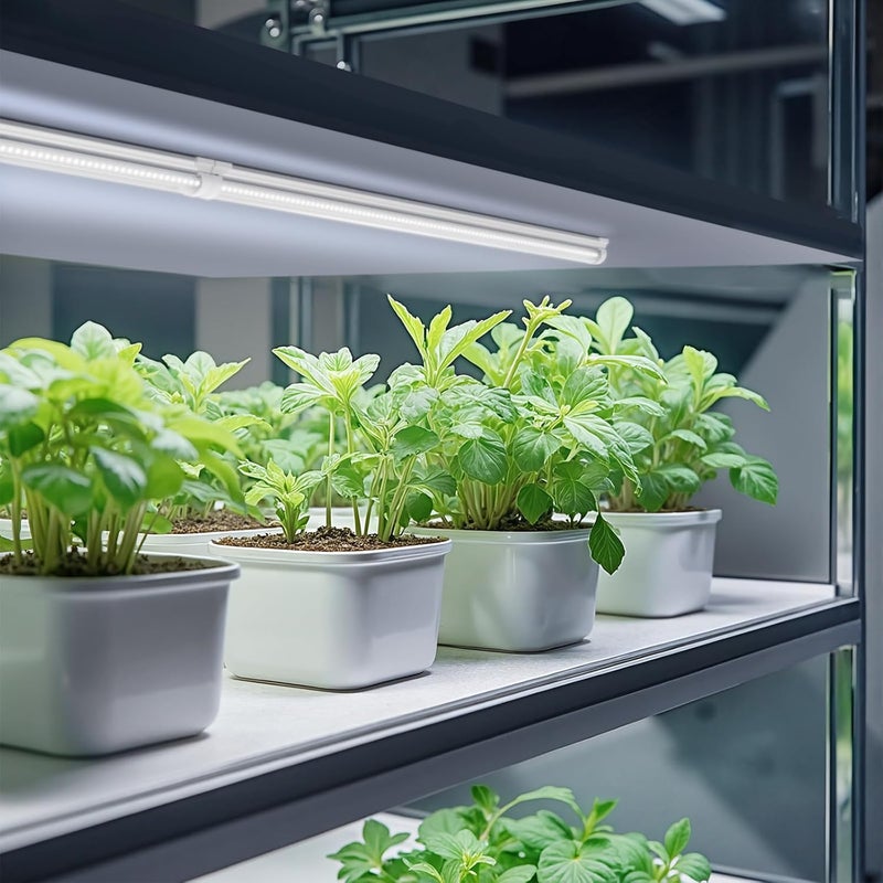 Barrina Grow Lights, 2FT 5000K White Full Spectrum Plant Growing Lamps, 144W(6 x 24W, 800W Equivalent), T8 LED Grow Light Bulbs, Plant Lights for Indoor Plants, Greenhouse, Linkable Design, 6-Pack - Image 4